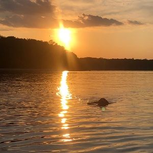 Meet your Posher, Will